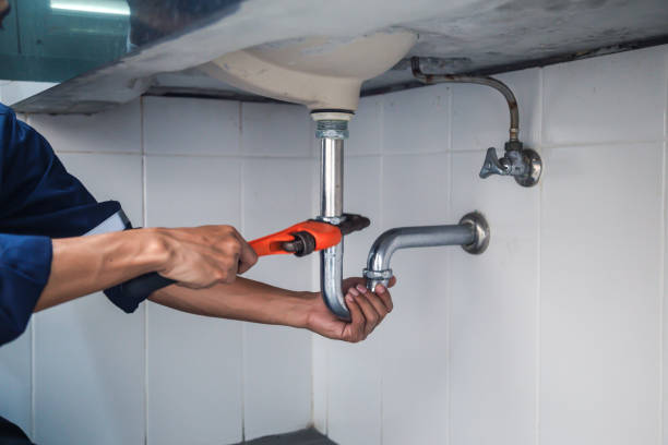 Best Local Plumber Services  in Gardnerville Ranchos, NV