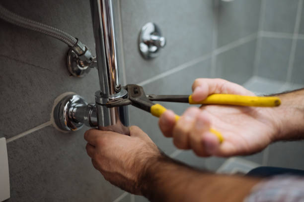 Best Plumbing Services Near Me  in Gardnerville Ranchos, NV