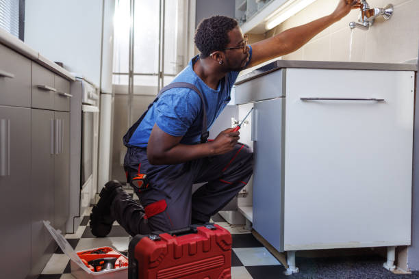 Best Plumbing Inspection Services  in Gardnerville Ranchos, NV